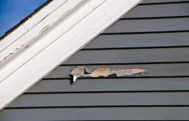 Best Same-Day Junk Removal Services  in Liberty, KY